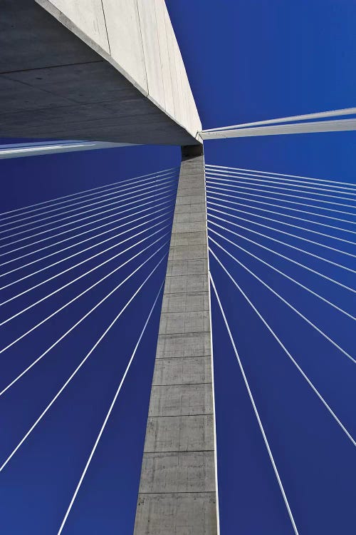 USA, South Carolina, Charleston. Looking up at Arthur Ravenel Jr. Bridge structure.