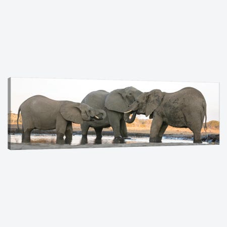 Africa, Botswana, Senyati Safari Camp. Elephants at waterhole.  Canvas Print #JYG337} by Jaynes Gallery Canvas Wall Art
