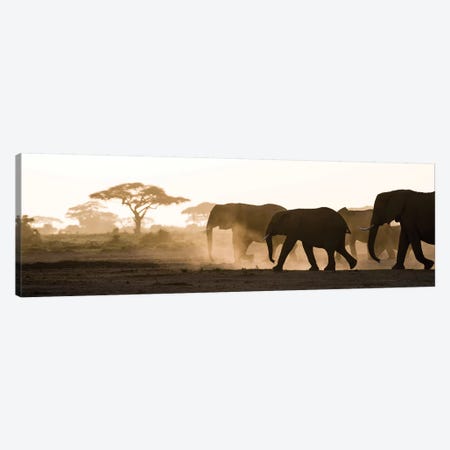 Africa, Kenya, Amboseli National Park. Backlit elephants on the march. Canvas Print #JYG339} by Jaynes Gallery Canvas Print