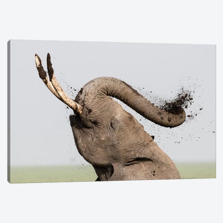 Africa, Kenya, Amboseli National Park. Elephant spraying mud sunscreen. Canvas Print #JYG344} by Jaynes Gallery Canvas Art Print