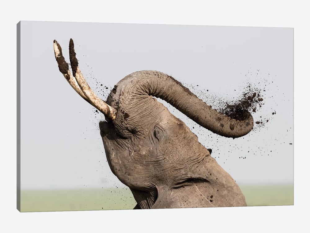 Africa, Kenya, Amboseli National Park. Elephant spraying mud sunscreen. by Jaynes Gallery 1-piece Canvas Artwork