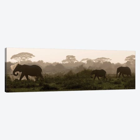 Africa, Kenya, Amboseli National Par - Canvas Artwork | Jaynes Gallery