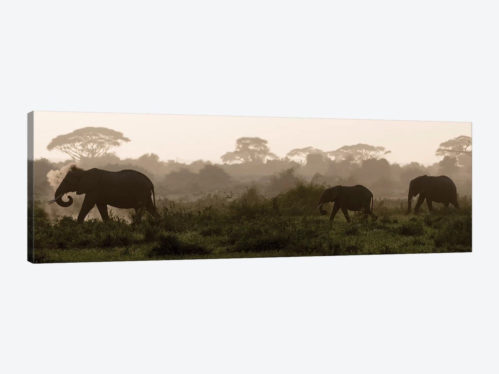 Africa, Kenya, Amboseli National Park. Elephants backlit at sunset. by Jaynes Gallery 1-piece Canvas Art