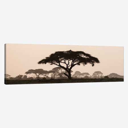 Africa, Kenya, Maasai Mara National Reserve. Silhouette of umbrella thorn acacia tree at sunset. Canvas Print #JYG372} by Jaynes Gallery Canvas Print