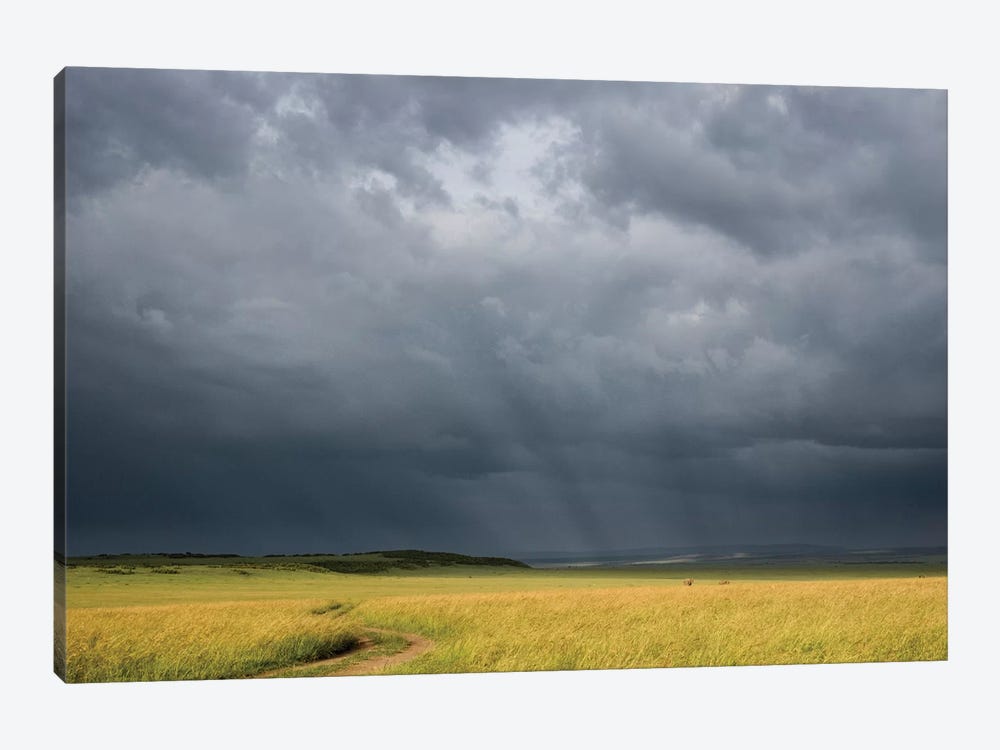 Africa, Kenya, Maasai Mara National Reserve. Storm clouds over savannah at sunset. by Jaynes Gallery 1-piece Canvas Wall Art