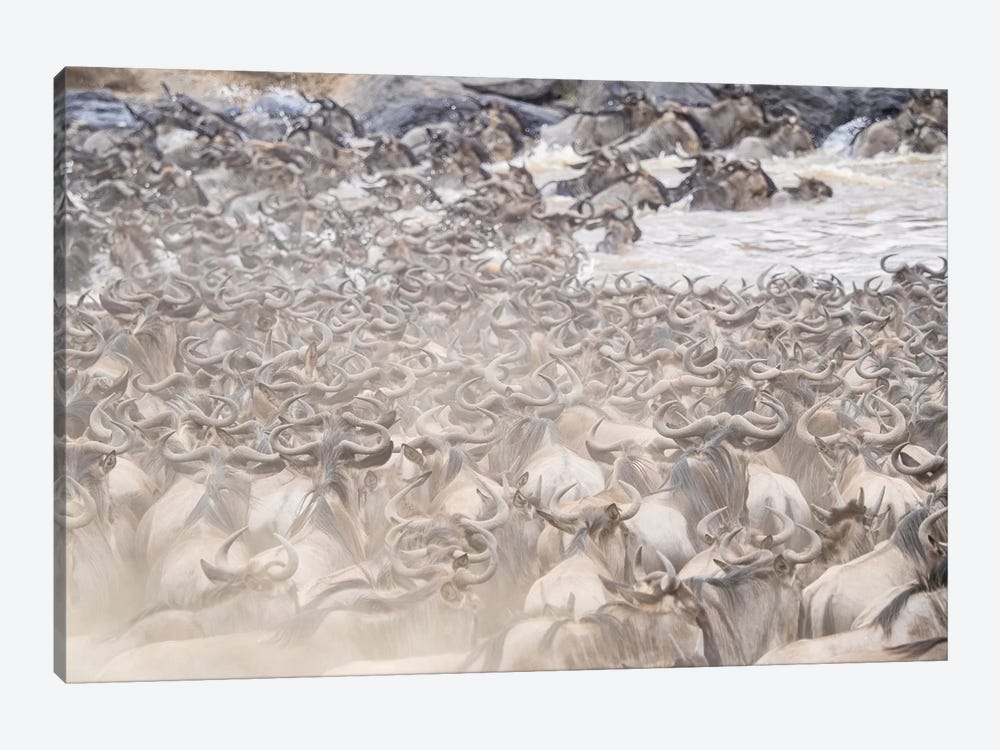 Africa, Kenya. Dusty wildebeest herd crossing river. by Jaynes Gallery 1-piece Art Print