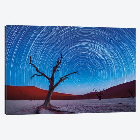Africa, Namibia, Deadvlei. Dead tree sand dunes and star trails. Canvas Print #JYG388} by Jaynes Gallery Canvas Art