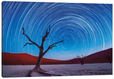 Africa, Namibia, Deadvlei. Dead tree sand dunes and star trails. Canvas Art Print - Namibia