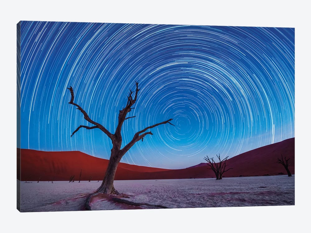 Africa, Namibia, Deadvlei. Dead tree sand dunes and star trails. by Jaynes Gallery 1-piece Canvas Artwork