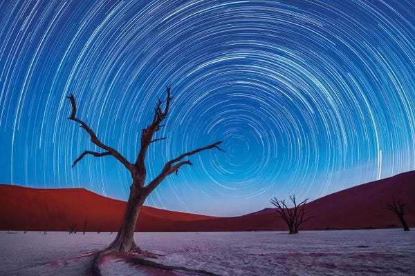 Namibia: Africa, Namibia, Deadvlei. Dead tree sand dunes and star trails. by Jaynes Gallery