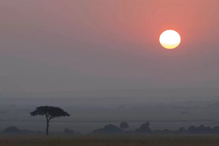 Africa, Tanzania, Ngorongoro Conservation Area. Savannah at sunset.