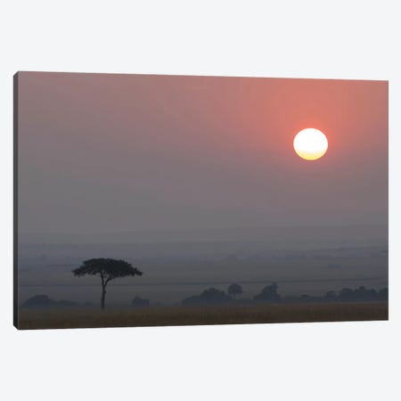 Africa, Tanzania, Ngorongoro Conservation Area. Savannah at sunset. Canvas Print #JYG395} by Jaynes Gallery Canvas Art