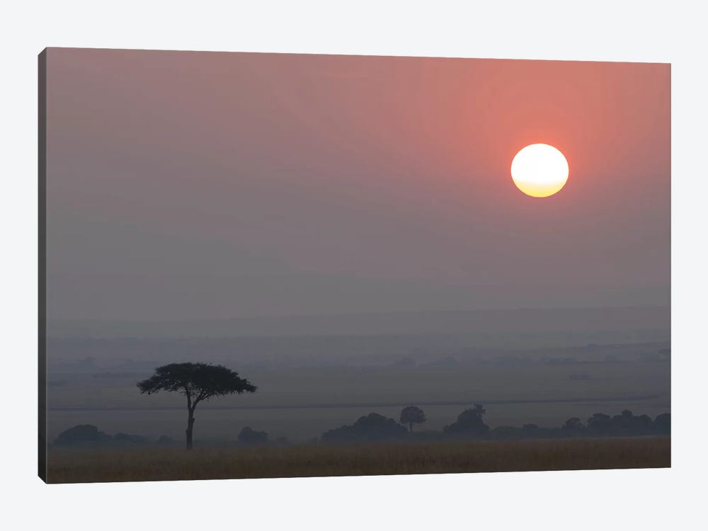 Africa, Tanzania, Ngorongoro Conservation Area. Savannah at sunset. by Jaynes Gallery 1-piece Canvas Wall Art