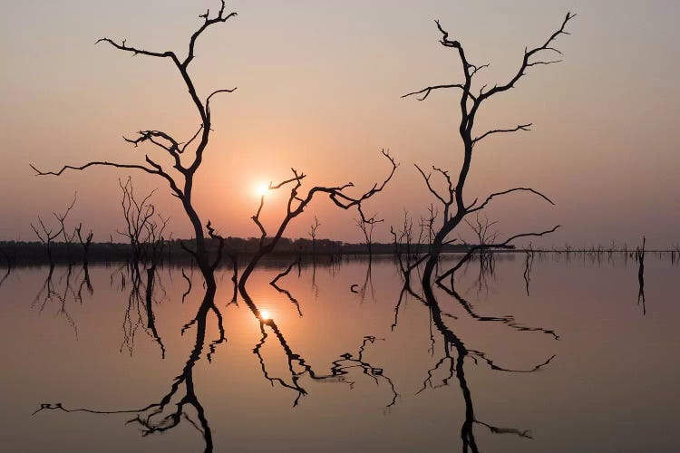 Africa, Zimbabwe, Matusadona National Park. Reflections on Lake Kariba.