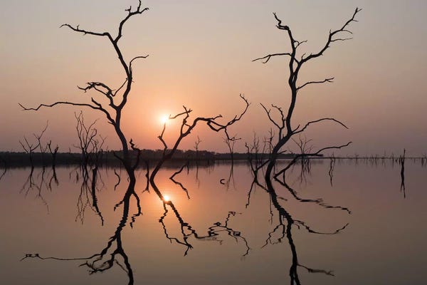Reflections On Lake Kariba I. Africa, Zimbabwe, Matusadona National Park