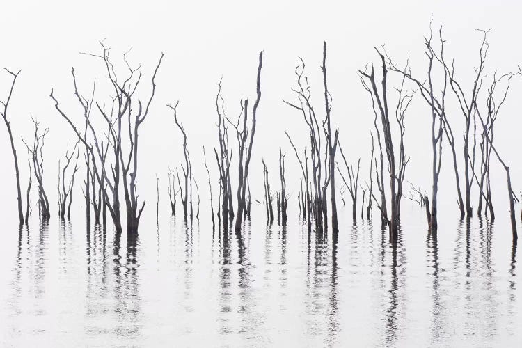 Africa, Zimbabwe, Matusadona National Park. Reflections on Lake Kariba.