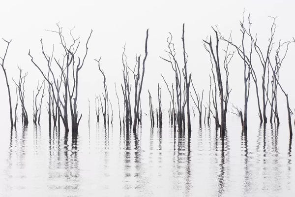 Reflections On Lake Kariba II. Africa, Zimbabwe, Matusadona National Park