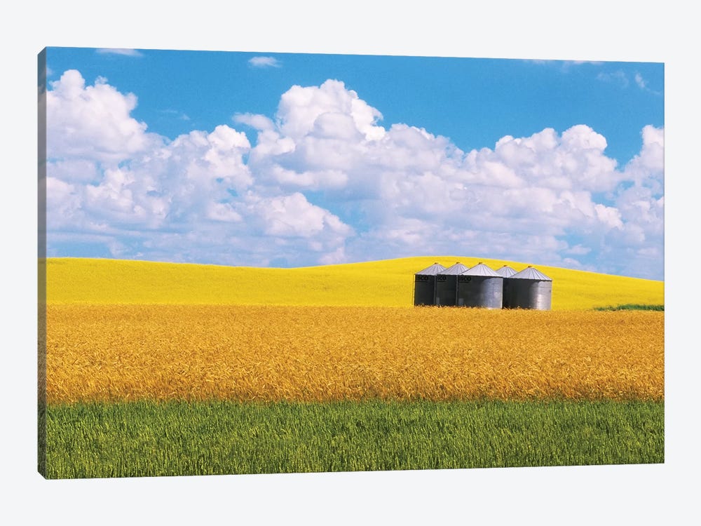 Canada, Manitoba, Bruxelles. Grain bins amid wheat and canola crops. by Jaynes Gallery 1-piece Canvas Print
