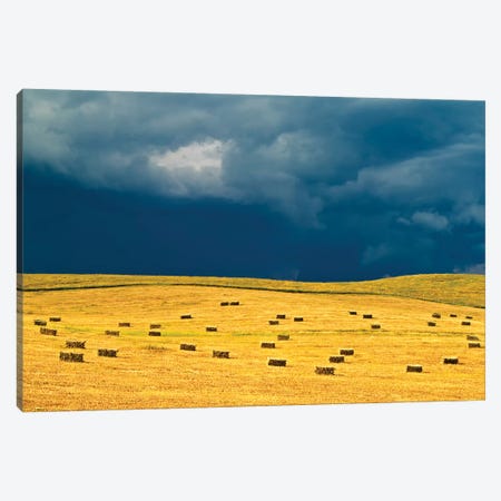 Canada, Manitoba, Holland. Square bales in field and storm clouds. Canvas Print #JYG424} by Jaynes Gallery Canvas Art