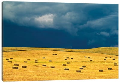 Canada, Manitoba, Holland. Square bales in field and storm clouds. Canvas Art Print
