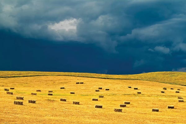 Manitoba: Canada, Manitoba, Holland. Square bales in field and storm clouds. by Jaynes Gallery