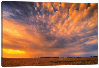 Canada, Manitoba, Inglis. Sunset on prairie. Canvas Art Print - Calm Art