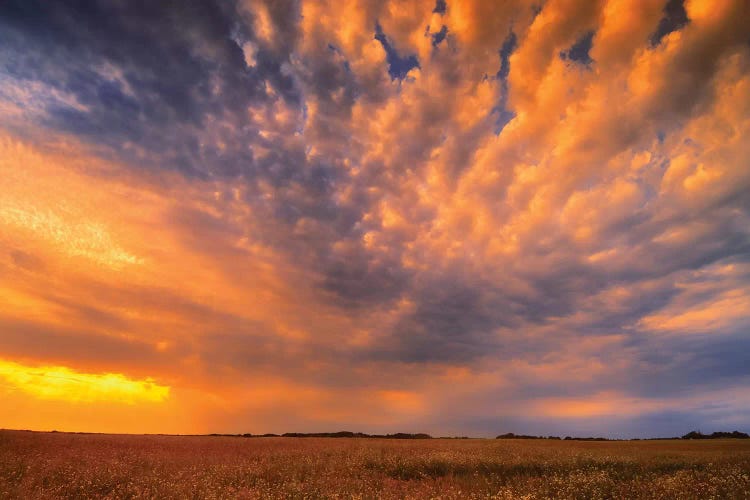 Canada, Manitoba, Inglis. Sunset on prairie.