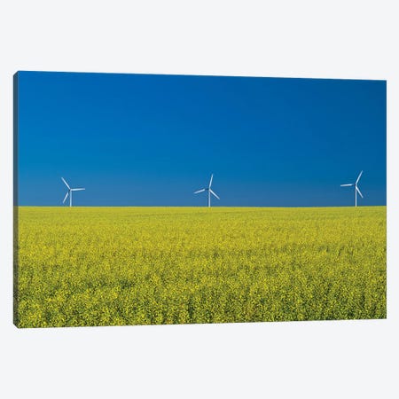 Canada, Manitoba, Somerset. Canola farm crop and clouds. Canvas Print #JYG430} by Jaynes Gallery Canvas Wall Art
