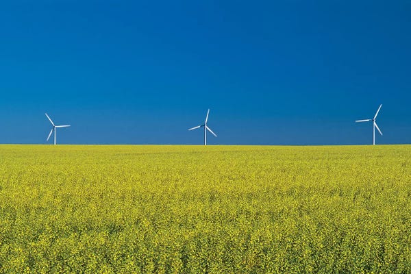 Manitoba: Canada, Manitoba, Somerset. Canola farm crop and clouds. by Jaynes Gallery