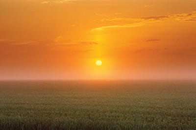 Canada, Manitoba. Sunrise on wheat field in fog. by Jaynes Gallery canvas print