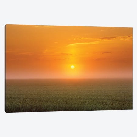 Canada, Manitoba. Sunrise on wheat field in fog. Canvas Print #JYG441} by Jaynes Gallery Art Print