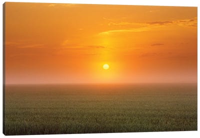 Canada, Manitoba. Sunrise on wheat field in fog. Canvas Art Print