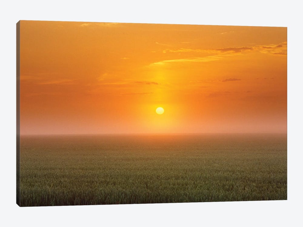 Canada, Manitoba. Sunrise on wheat field in fog. by Jaynes Gallery 1-piece Canvas Art