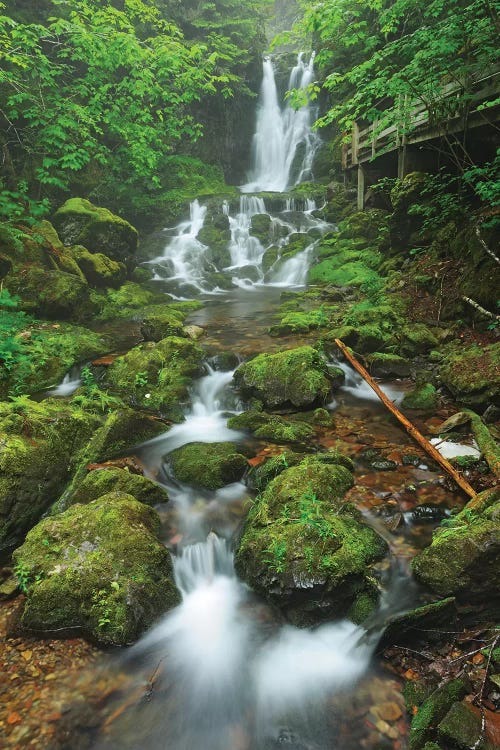 Canada, New Brunswick, Fundy National Park. Dickson Creek waterfall cascade.