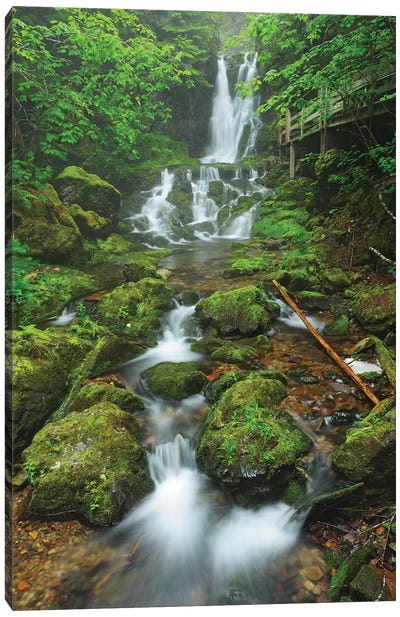 Canada, New Brunswick, Fundy National Park. Dickson Creek waterfall cascade. Canvas Art Print