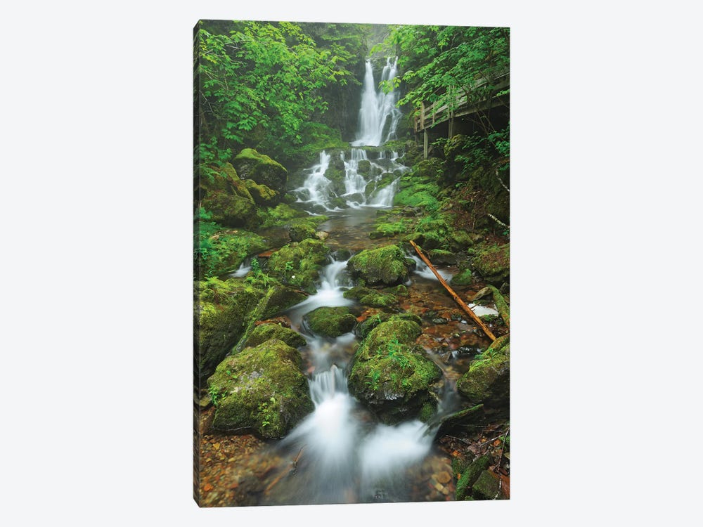Canada, New Brunswick, Fundy National Park. Dickson Creek waterfall cascade. by Jaynes Gallery 1-piece Canvas Print