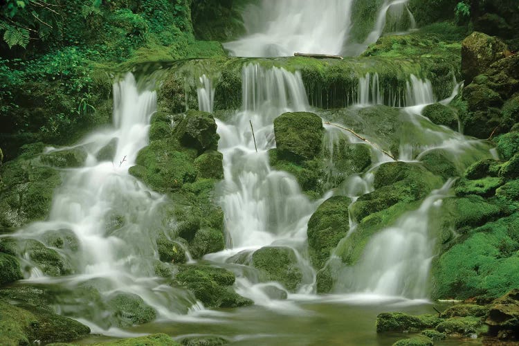 Canada, New Brunswick, Fundy National Park. Dickson Creek waterfall.