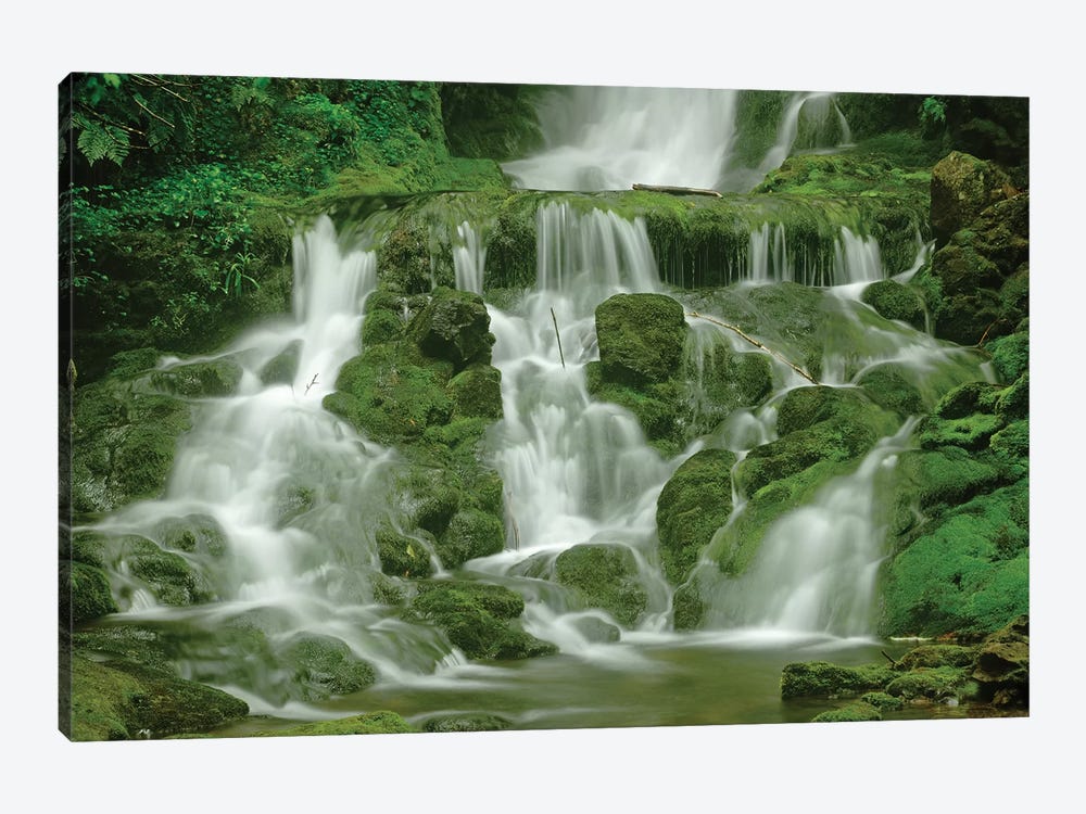 Canada, New Brunswick, Fundy National Park. Dickson Creek waterfall. by Jaynes Gallery 1-piece Canvas Wall Art