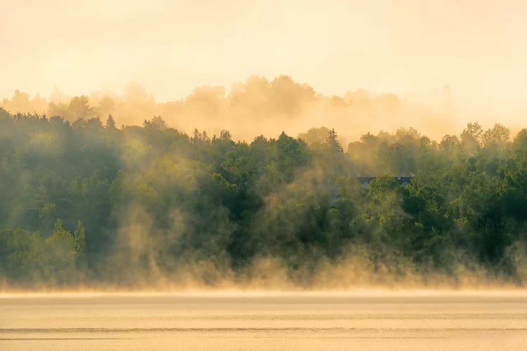Canada, New Brunswick, Mactaquac. Morning fog on Saint John River at sunrise.