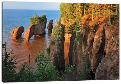 Canada, New Brunswick, The Rocks Provincial Park. Cape Hopewell rocks at sunrise at low tide. Canvas Art Print