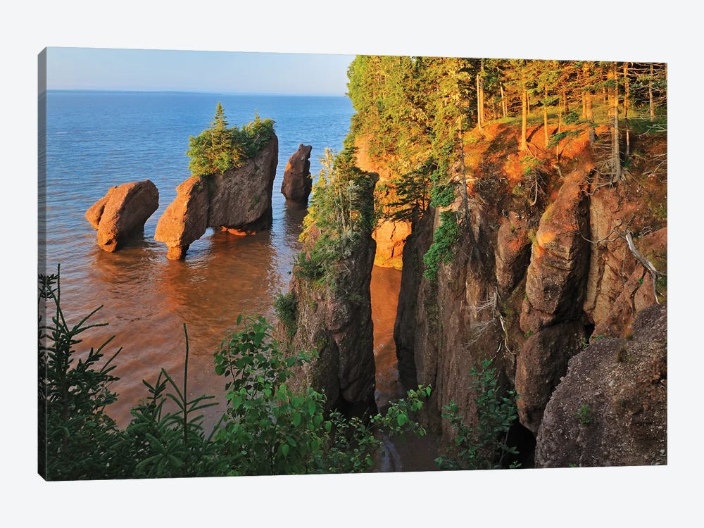 Canada, New Brunswick, The Rocks Provincial Park. Cape Hopewell rocks at sunrise at low tide. by Jaynes Gallery 1-piece Art Print