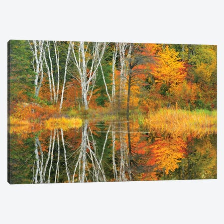 Canada, Ontario, Capreol. Trees reflected in Vermilion River in autumn. Canvas Print #JYG456} by Jaynes Gallery Canvas Print