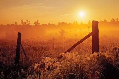 Canada, Ontario, Estaire. Fence at sunrise in fog. by Jaynes Gallery canvas print
