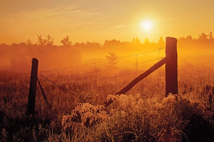 Canada, Ontario, Estaire. Fence at sunrise in fog.