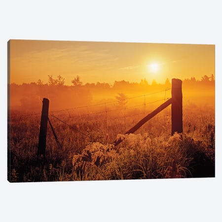 Canada, Ontario, Estaire. Fence at sunrise in fog. Canvas Print #JYG458} by Jaynes Gallery Canvas Artwork