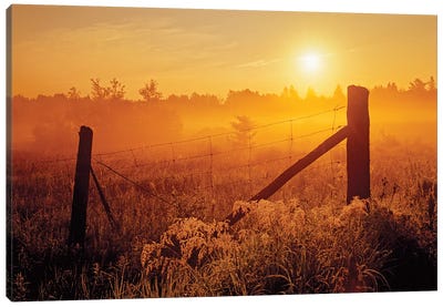 Canada, Ontario, Estaire. Fence at sunrise in fog. Canvas Art Print - Ontario Art