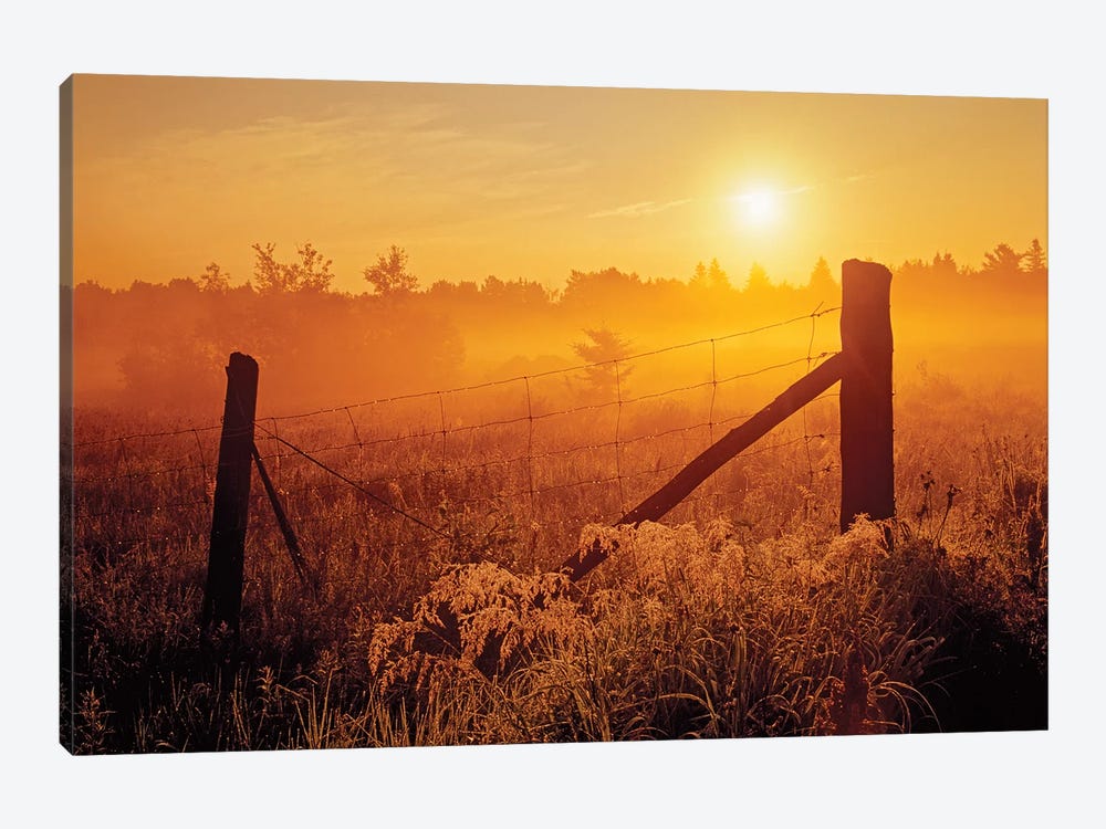 Canada, Ontario, Estaire. Fence at sunrise in fog. by Jaynes Gallery 1-piece Canvas Wall Art
