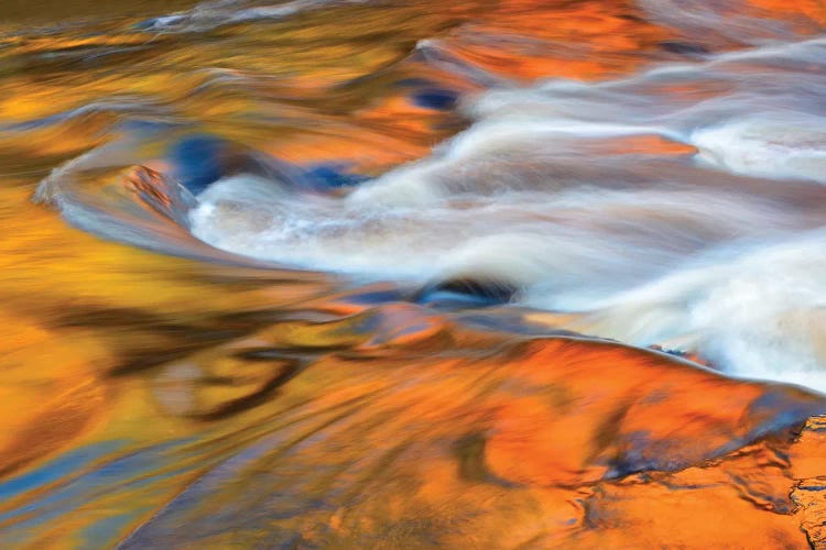 Canada, Ontario, Rosseau. Maple trees reflected in stream at sunset.