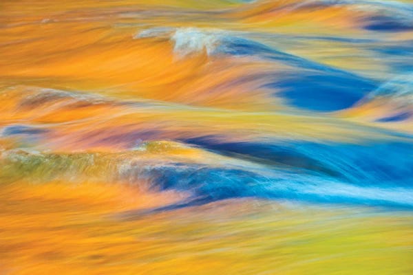 Ontario: Canada, Ontario, Rosseau. Maple trees reflected in stream at sunset. by Jaynes Gallery