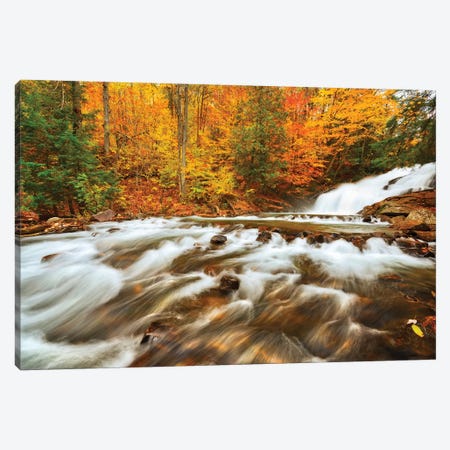Canada, Ontario, Rosseau. Skeleton River at Hatchery Falls in autumn. Canvas Print #JYG470} by Jaynes Gallery Canvas Artwork